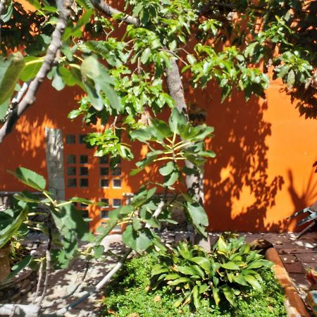 과나후아토 Ex Hacienda 아파트 외부 사진