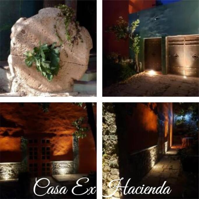과나후아토 Ex Hacienda 아파트 외부 사진